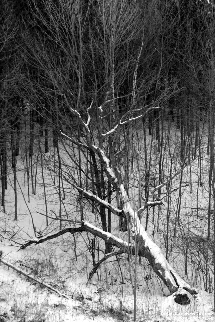 05033cls - Family Ski Afternoon at Dagmar Resort